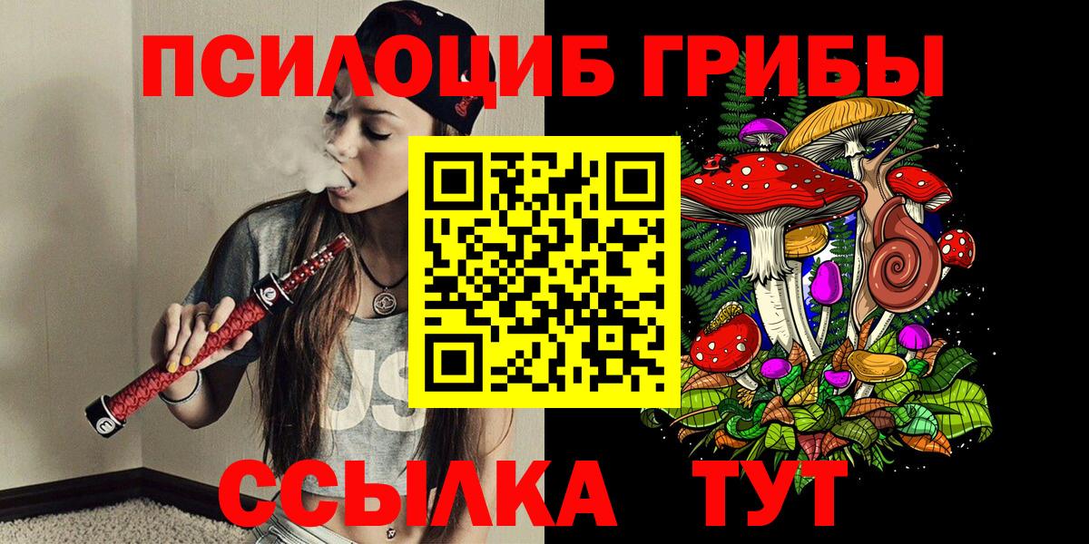 Псилоцибиновые грибы прущие грибы  Вход с VPN  Псилоцибиновые грибы мицелий  Железногорск 